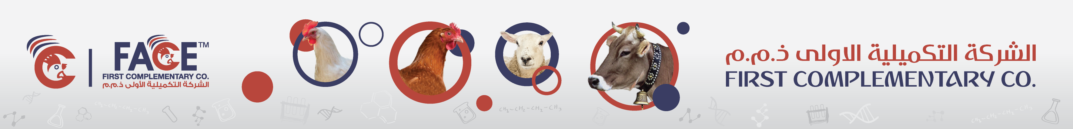 الشركة التكميلية الأولى